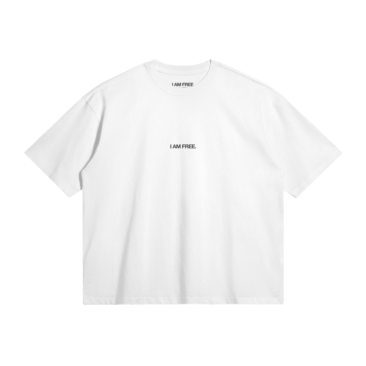 SEEKING FREEDOM HEAVYWEIGHT TEE