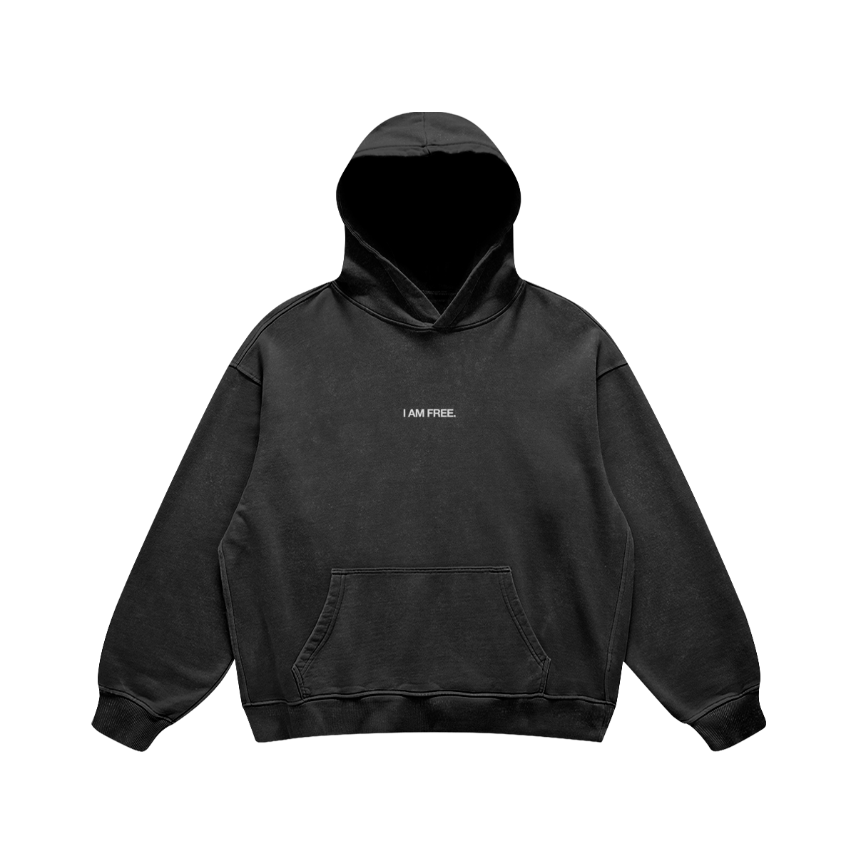 SEEKING FREEDOM HOODIE