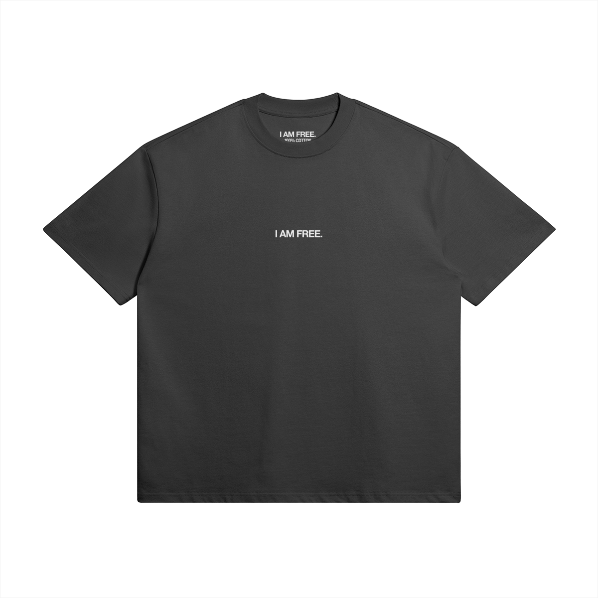 SEEKING FREEDOM HEAVYWEIGHT TEE