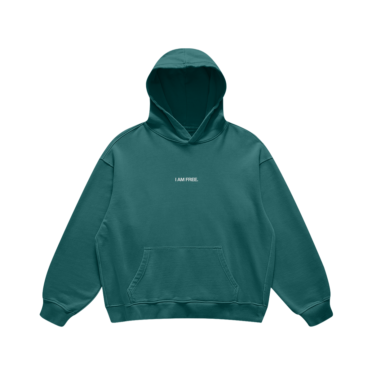 SEEKING FREEDOM HOODIE
