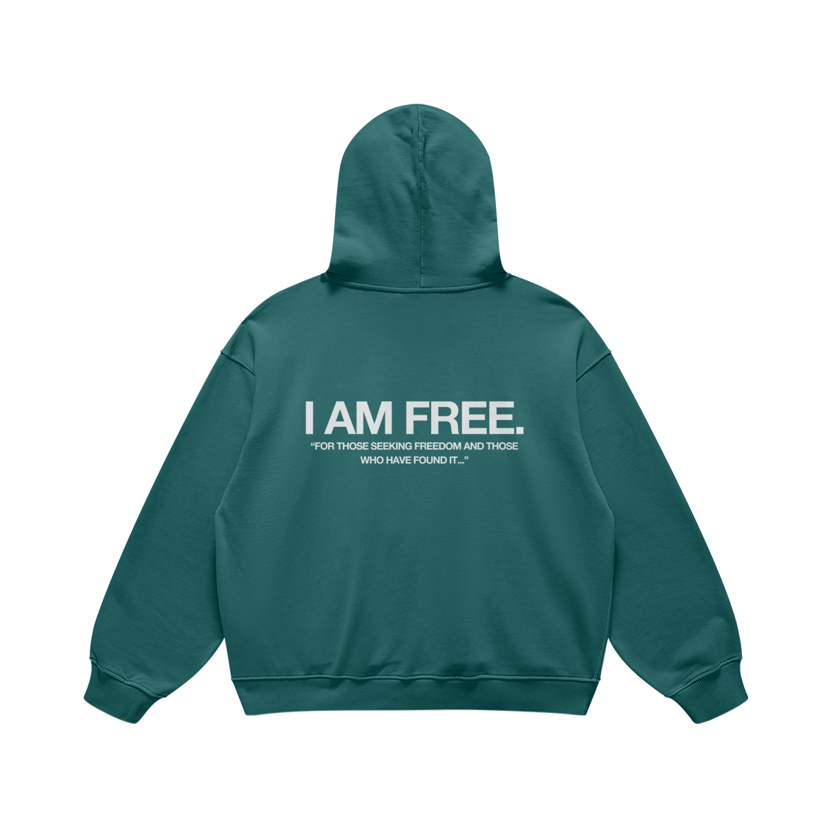 SEEKING FREEDOM HOODIE